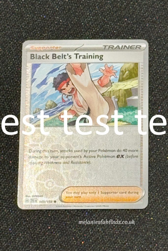 Black Belt's Training - 144/159